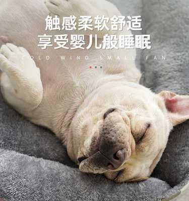 猫血化验指标超出正常范围该怎么办（宠物猫血化验指标异常的原因）