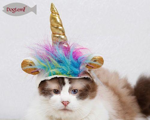 母猫用舌头舔小猫，温暖的爱的表现（探究母猫舔小猫的原因和意义）