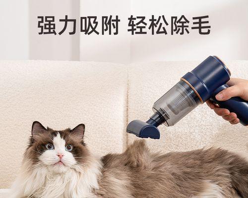 母猫用舌头舔小猫，温暖的爱的表现（探究母猫舔小猫的原因和意义）