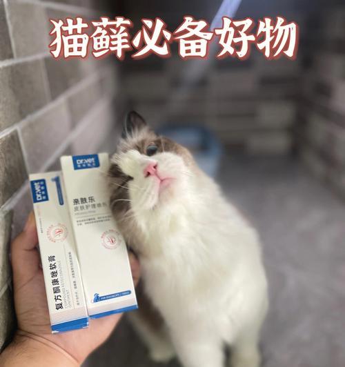 以猫藓为药，如何治疗猫咪的疾病（猫藓的功效）