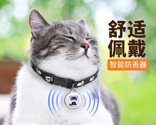 猫咪GPS定位，让宠物更安全（保障宠物安全出行的GPS定位技术）