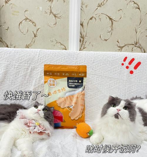 爱吃鱼肉肠的猫咪们（了解猫咪的食物偏好）