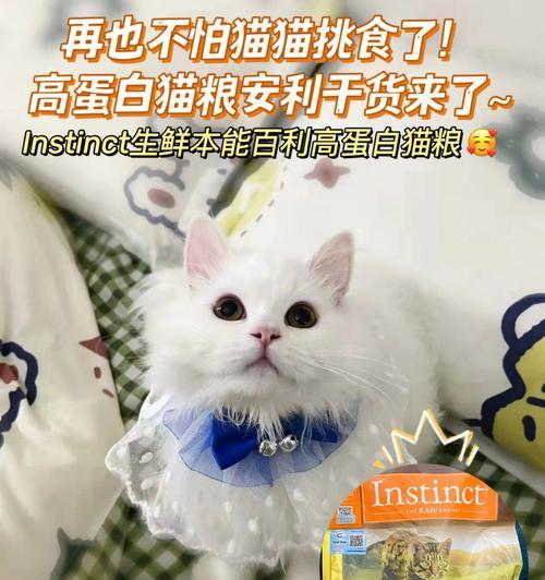 猫咪白蛋白0.3的重要性（探讨宠物健康保障中的重要指标）