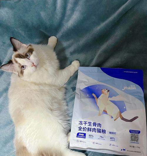 猫咪白蛋白0.3的重要性（探讨宠物健康保障中的重要指标）