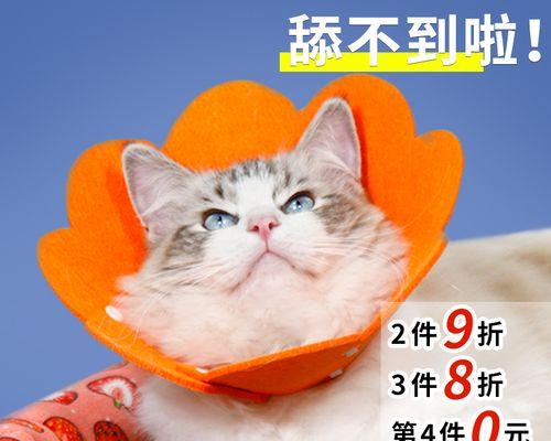 宠物猫咪的抱抓行为详解（探究猫咪咬手和舔手的原因及对主人的意义）