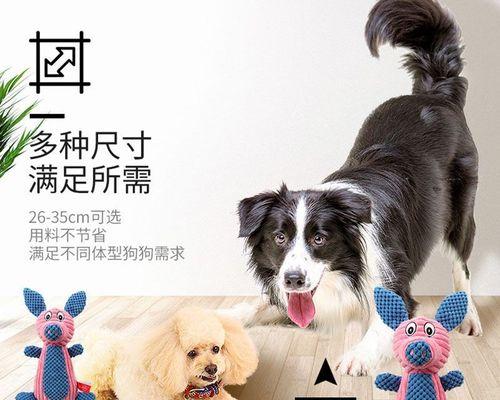 猫咪被狗咬了，还能活多久（探讨宠物被伤害后的恢复和预防措施）