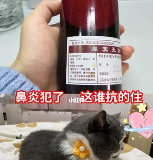 猫咪鼻炎的治疗方法（为宠物猫咪提供健康的生活环境）