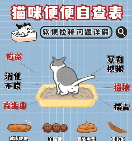 如何照顾猫咪的肠胃健康（揭秘黑色硬便的成因与解决方法）