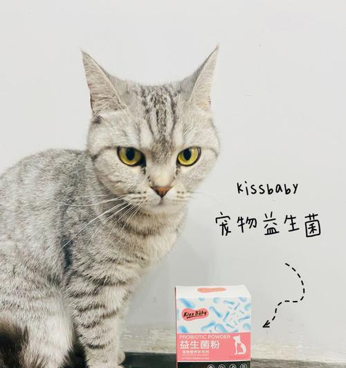 猫咪便秘应该吃什么（为你的爱猫提供正确的饮食建议）