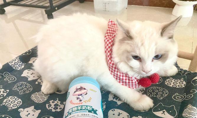 猫咪便秘应该吃什么（为你的爱猫提供正确的饮食建议）