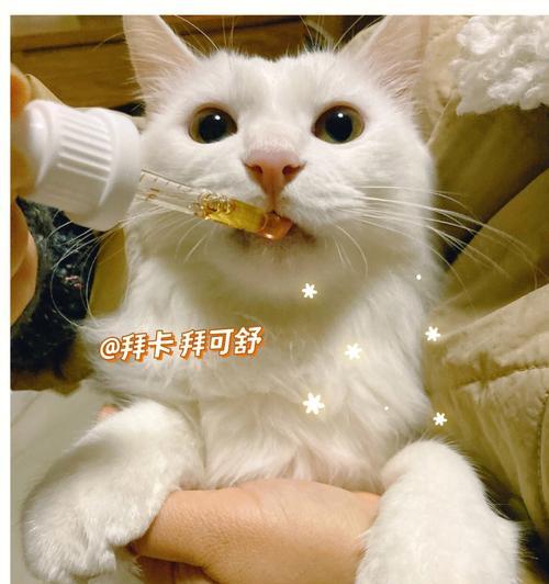 猫咪便秘注射生理盐水的解决方法（让爱宠远离烦恼）