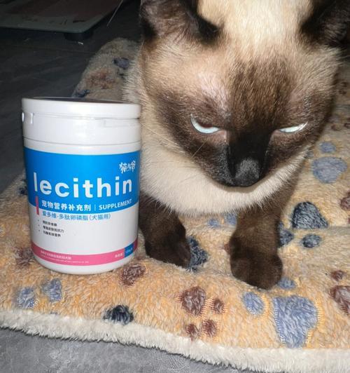 用猫咪补充营养注射提高宠物健康（如何选择适合猫咪的营养注射）
