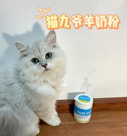 用猫咪补充营养注射提高宠物健康（如何选择适合猫咪的营养注射）