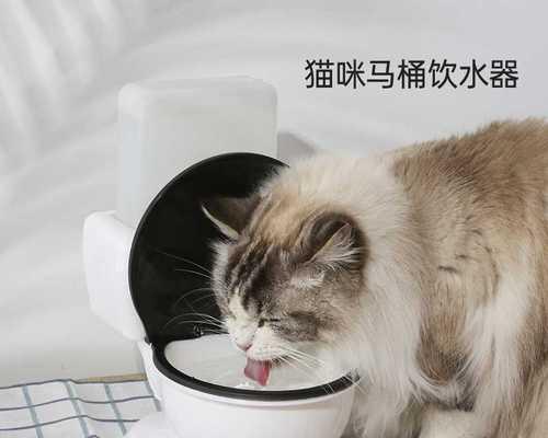 猫咪不吃东西不喝水怎么办（探究猫咪食欲不振的原因和解决方法）