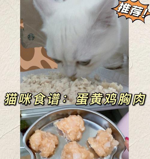 猫咪不吃鸡胸肉加蛋黄（从猫咪的营养需求出发）