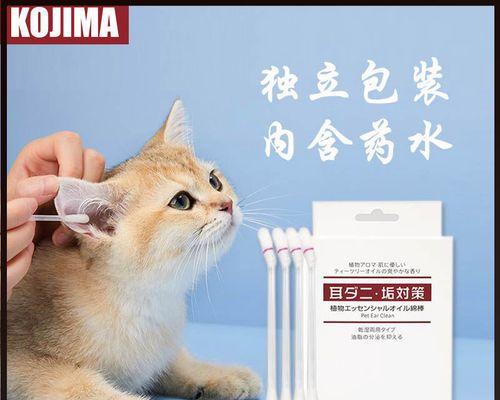如何处理猫咪不吃棉签问题（解决猫咪吃棉签引发的健康隐患）
