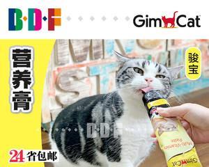 宠物主人必备，让你的猫咪健康成长（宠物主人必备）