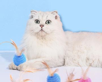 猫咪的成长与玩具选择（不同年龄段的猫咪需要不同类型的玩具）