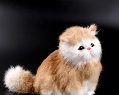 猫咪的成长与玩具选择（不同年龄段的猫咪需要不同类型的玩具）