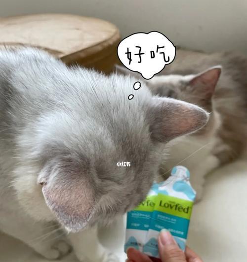 宠物猫不吐毛球的好处（照顾好毛茸茸的小伙伴）
