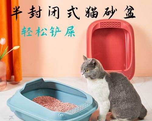 猫咪不在砂盆便便怎么办（探寻猫咪不在砂盆便便的原因及解决方法）