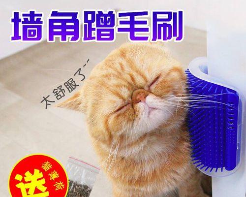 猫咪为什么喜欢蹭主人的下体（探究猫咪蹭下体的原因和意义）