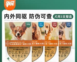 小狗驱虫药，宠物健康的必需品（如何选用合适的驱虫药为小狗提供的保护）