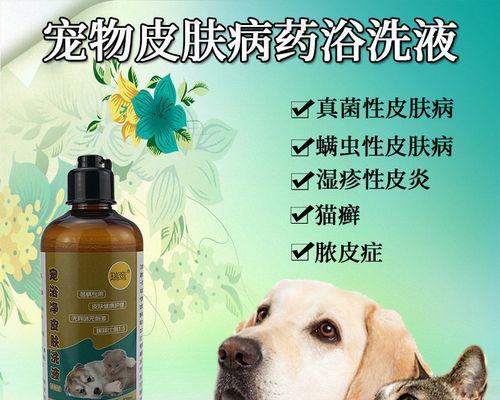 宠物清洁必备——清理狗狗粪便的清洗液（让狗狗健康干净——清洗液为你解决狗狗粪便问题）