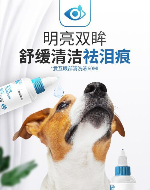 宠物清洁必备——清理狗狗粪便的清洗液（让狗狗健康干净——清洗液为你解决狗狗粪便问题）