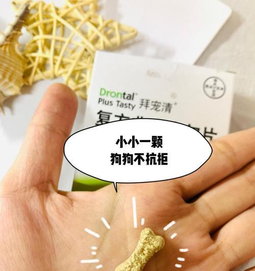 宠物养护（以驱虫药怎么给狗狗喂为主题）