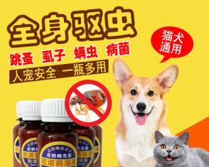 如何有效清除宠物身上的跳蚤（掌握清除跳蚤的技巧）
