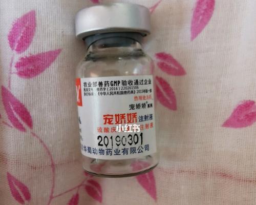 宠物猫病毒感染如何预防和治疗（探讨以去猫用什么药好）