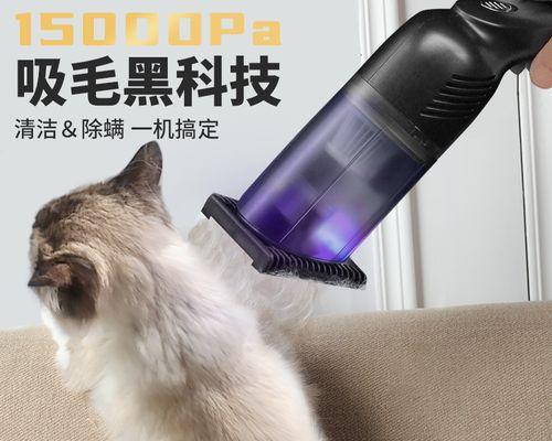宠物猫病毒感染如何预防和治疗（探讨以去猫用什么药好）