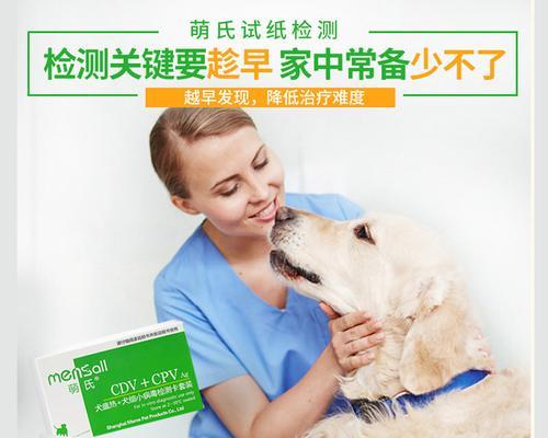 宠物犬瘟热晚期的药物治疗（了解治疗方式）