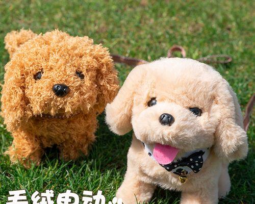 独自在家的狗狗叫个不停（以人出门）
