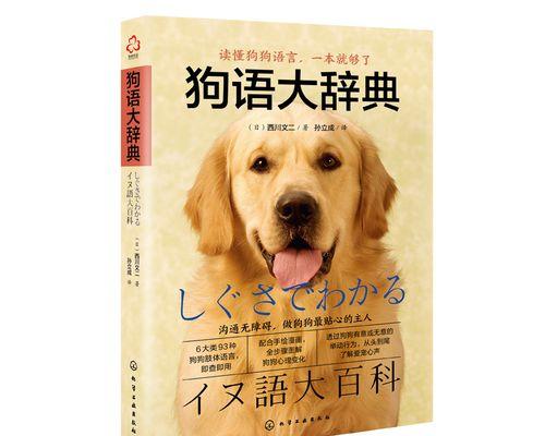 人与狗（探究宠物主人与狗的交流技巧）