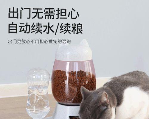 如何让宠物猫不再叫闹（让你的家庭更加和谐安静）