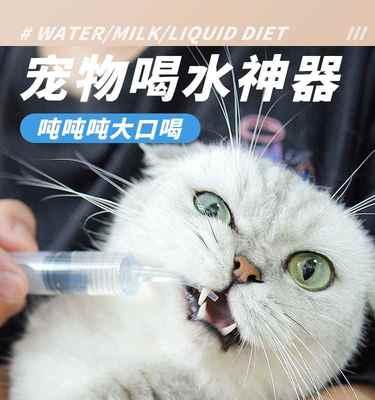 如何正确喂食猫咪胶囊（宠物饲主必看）