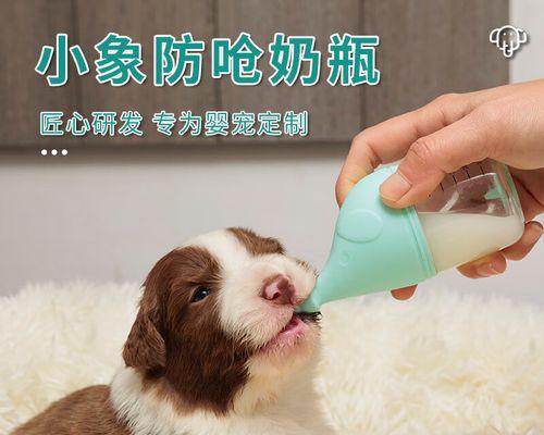 如何正确喂食猫咪胶囊（宠物饲主必看）
