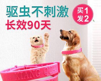 自己为宠物猫除虫，如何做（宠物猫除虫方法）