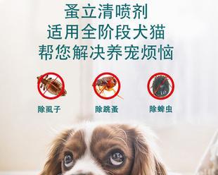宠物爱护的重要性及常见虫害预防（宠物爱护的重要性及常见虫害预防）
