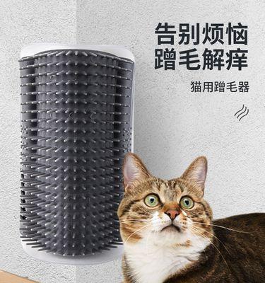养猫咪身上痒（宠物养护知识）