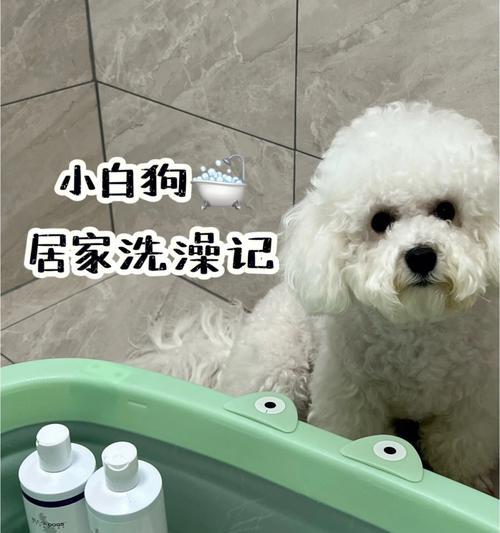 狗狗的洗澡时间表（了解多久洗澡对宠物健康的影响）