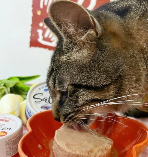一月龄猫咪能否以鸡脯肉为主食（探究喂养小猫的正确饮食方式及注意事项）