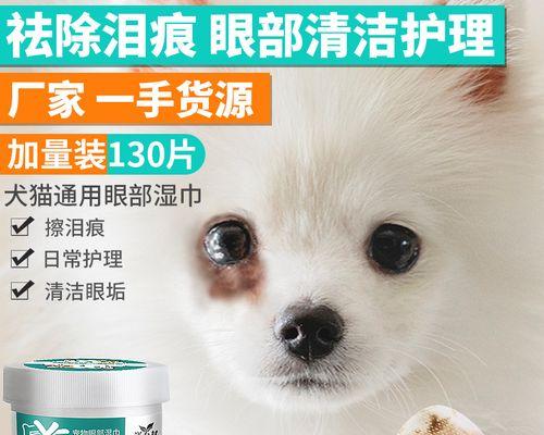 如何处理小狗眼屎问题（小狗眼屎清理技巧分享）