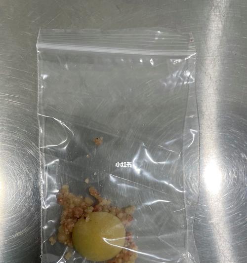 宠物膀胱结石手术全攻略（手术前后护理）