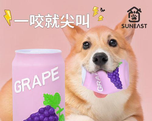 狗狗遭虐待，身受重伤（宠物不是工具）
