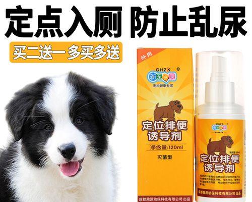 狗狗便便的褐色之谜（探究狗狗便便为何多是褐色的原因）