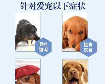 狗狗不活动会导致呕吐（狗狗为什么会因为不活动而呕吐）