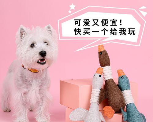 狗狗进入凉房后如何正确处理（狗狗凉了怎么办）
